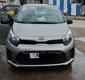 Kia Picanto 2020 Brown