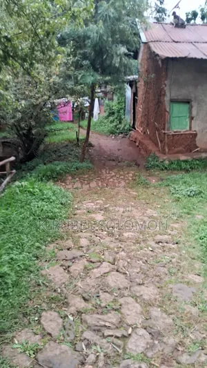 መሬት 1500 ካሬ