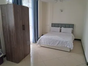 Furnished Studio Apartment in Bole for rent