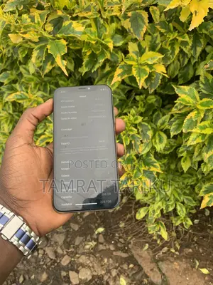 Apple iPhone X 256 GB White