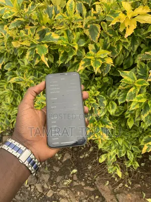 Apple iPhone X 256 GB White