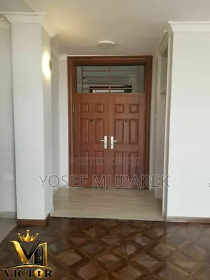 VICTOR Door – Protection Meets Perfection