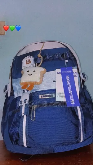 Student's Bag for 2019 New Year
