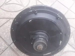 Brushless DC Hub Motor