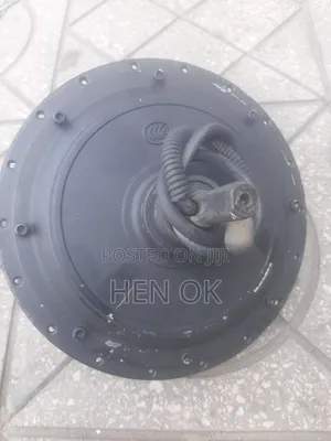 Brushless DC Hub Motor