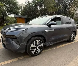BYD Tang EV 2025 Gray
