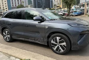 BYD Tang EV 2025 Gray