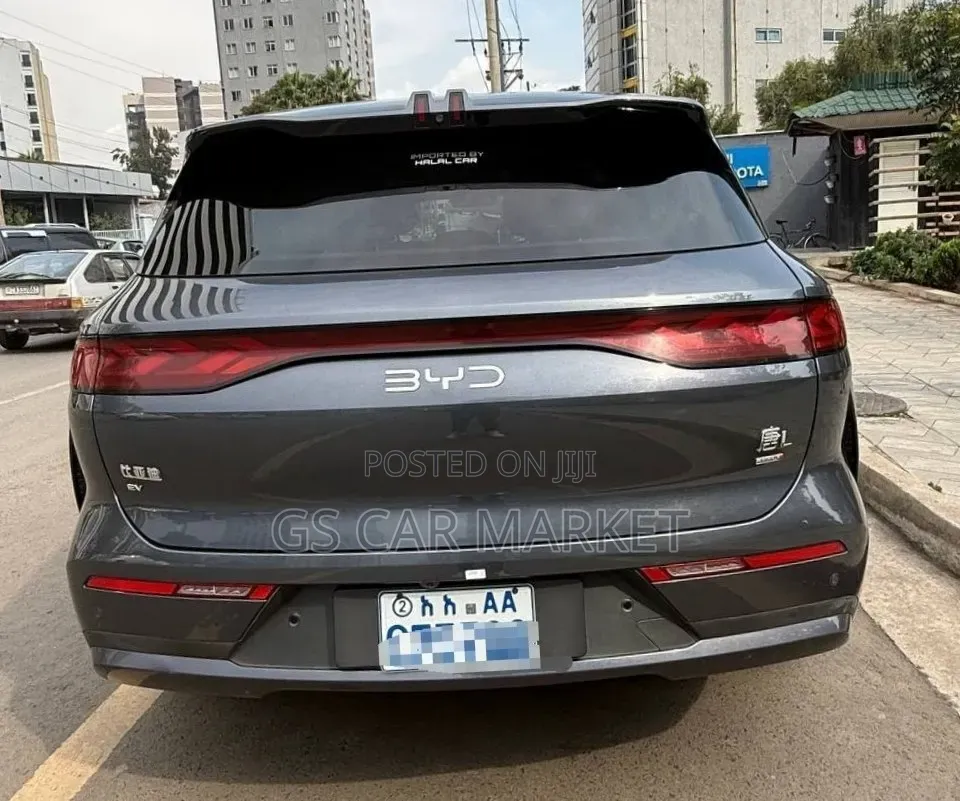 BYD Tang EV 2025 Gray