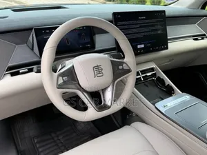 BYD Tang EV 2025 Gray