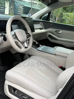 BYD Tang EV 2025 Gray