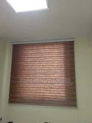 Dani Shatter