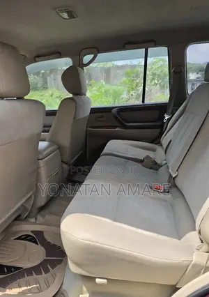 Toyota Land Cruiser 2007 Brown