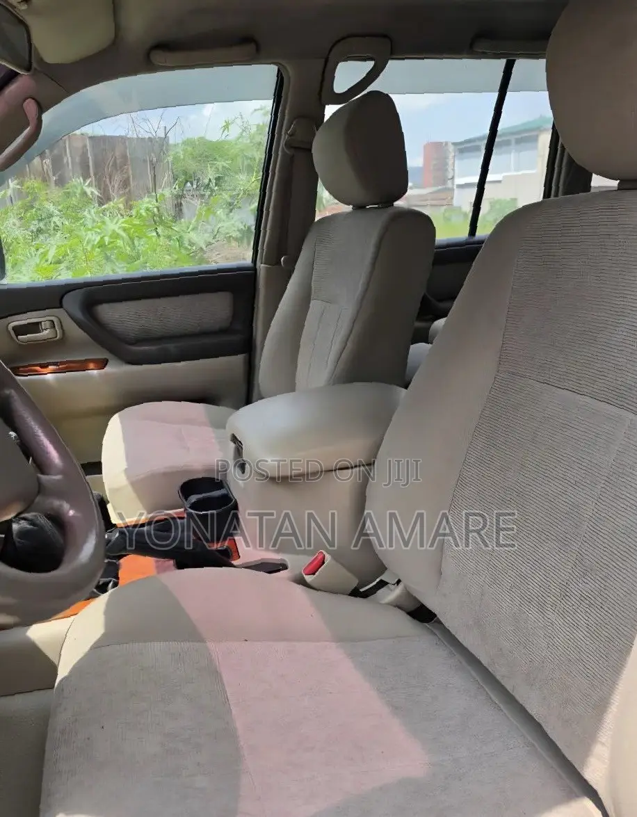 Toyota Land Cruiser 2007 Brown