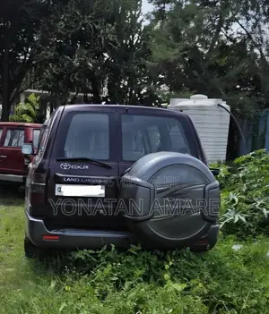 Toyota Land Cruiser 2007 Brown