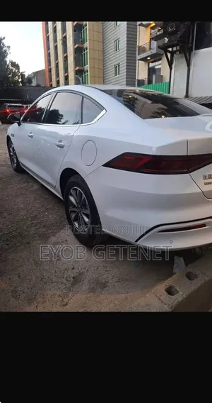 New BYD Qin Plus DM-i 2025 White