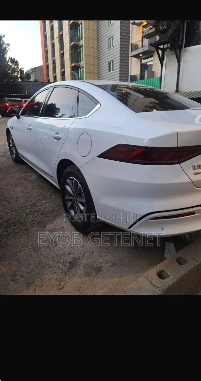New BYD Qin Plus DM-i 2025 White