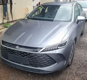 BYD Qin Plus DM-i 2025 Silver