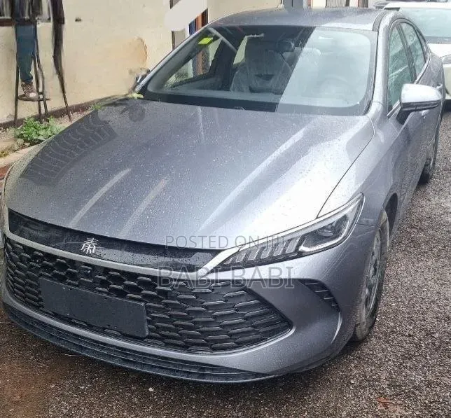 BYD Qin Plus DM-i 2025 Silver