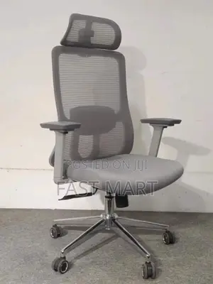 Ergonomic Mesh Manager Office Chair