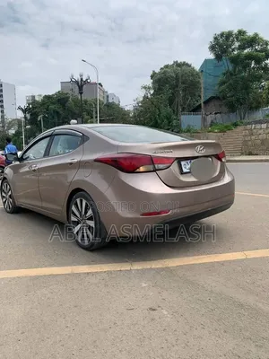 Hyundai Elantra 2015 Brown