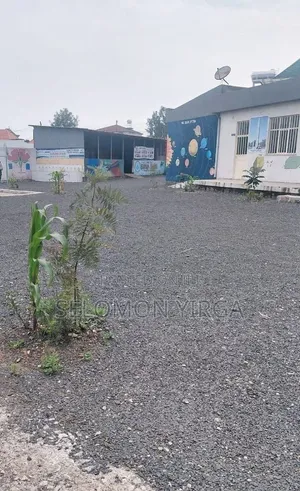 የሚከራይ ትምርት ቤት