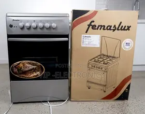 Femeslux Oven 50x50 Stainless Steel 2Gas 2electric Freestanding Oven