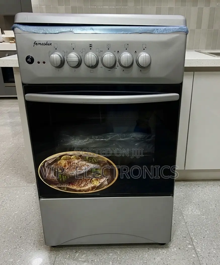 Femeslux Oven 50×50 Freestanding Oven 2 Gas 2 Electric Stainless Steel