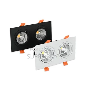 Double Spot Light