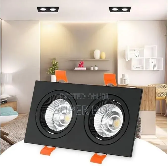 Double Spot Light