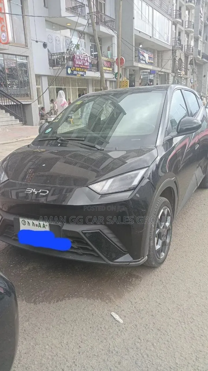 BYD Seagull 2025 Black