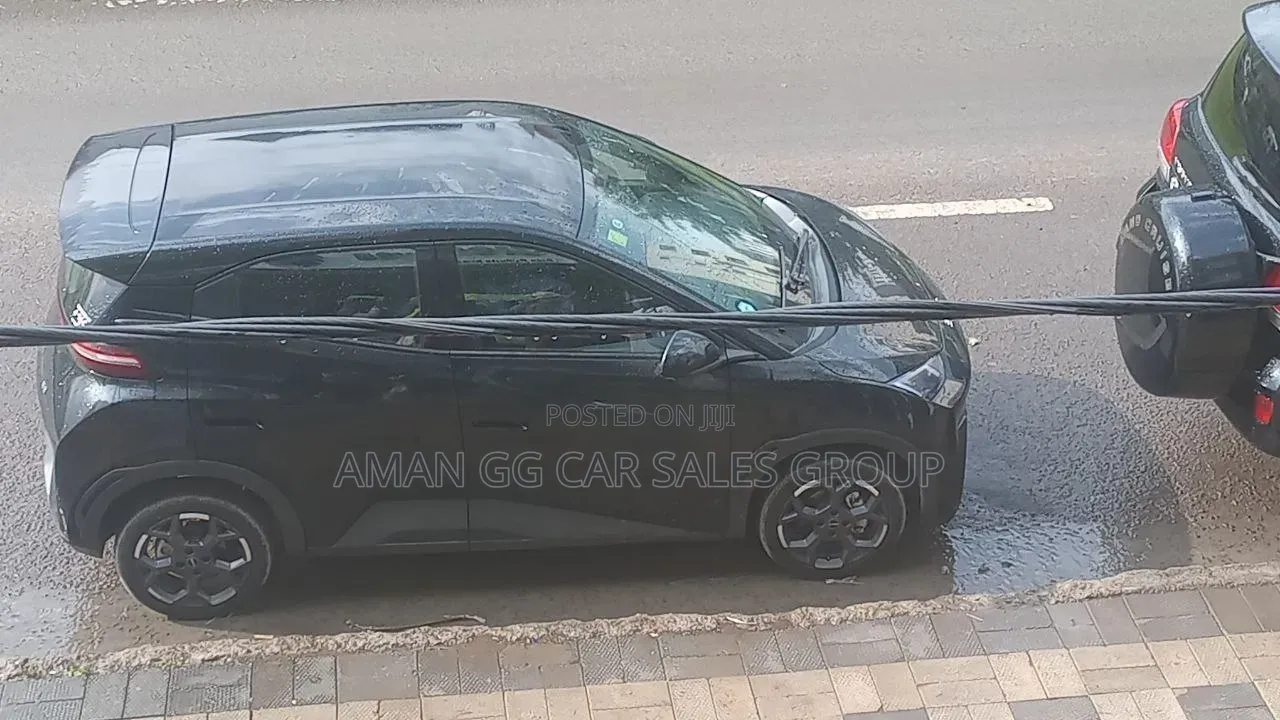 BYD Seagull 2025 Black