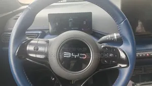 BYD Seagull 2025 Black