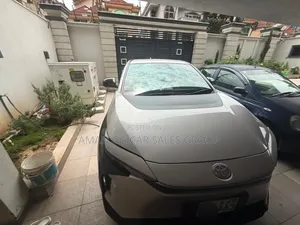 Toyota bZ4X 2024 Gray