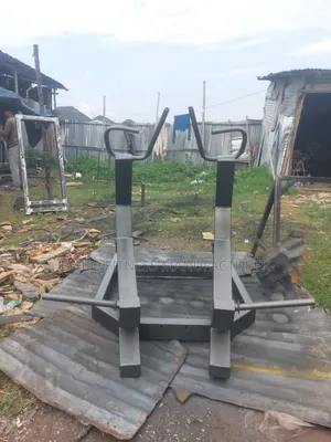 Back Machine Raw Gym