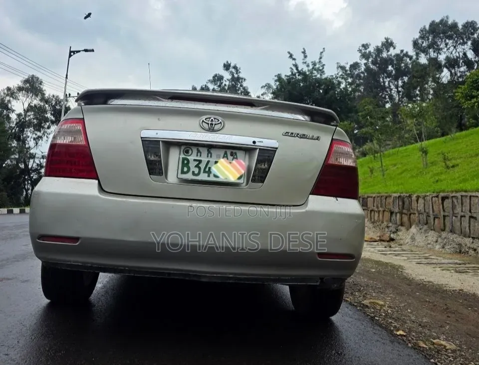 Toyota Corolla 2006 Gray