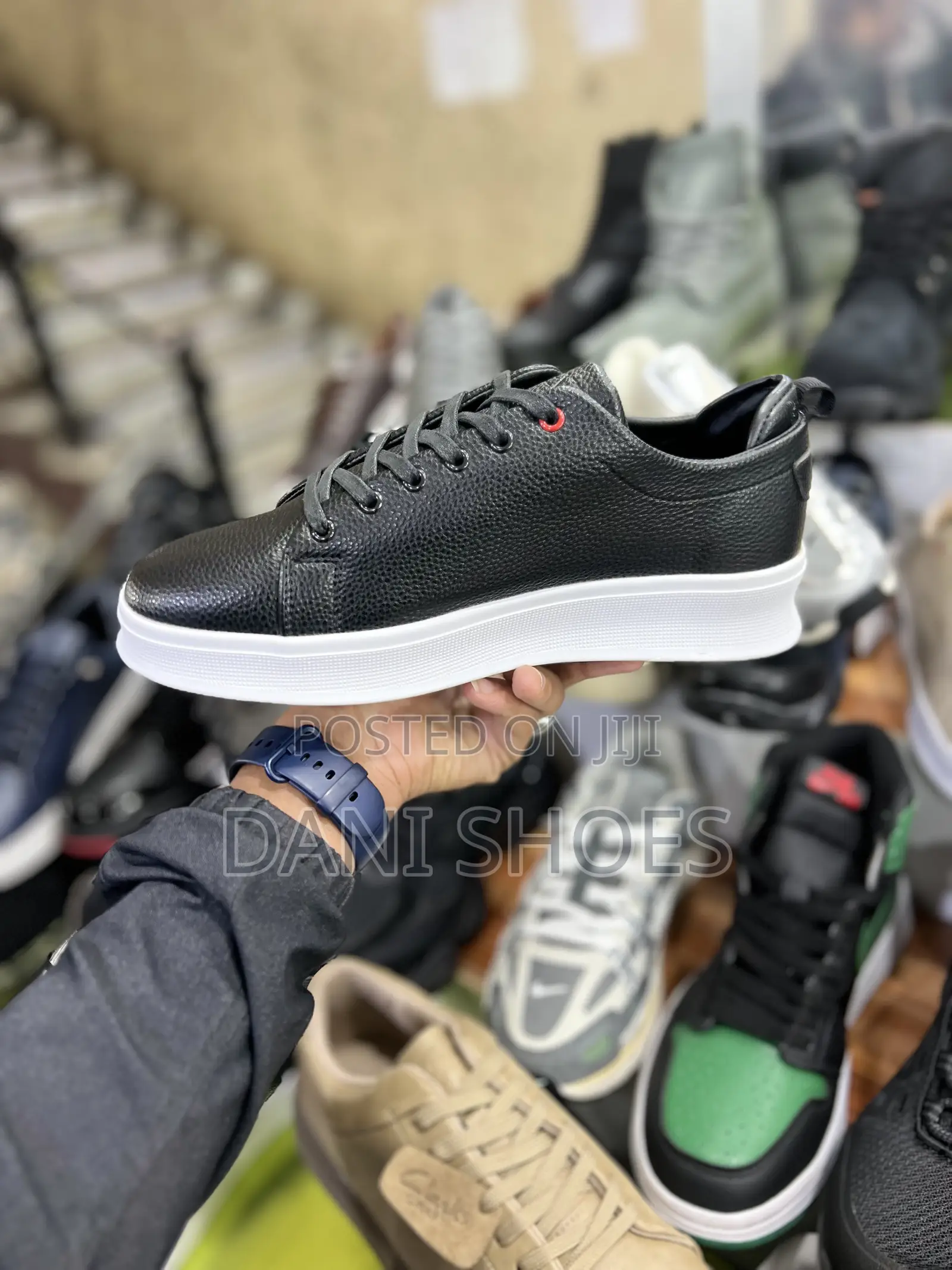 Zegna Low Shoes