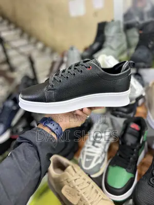 Zegna Low Shoes