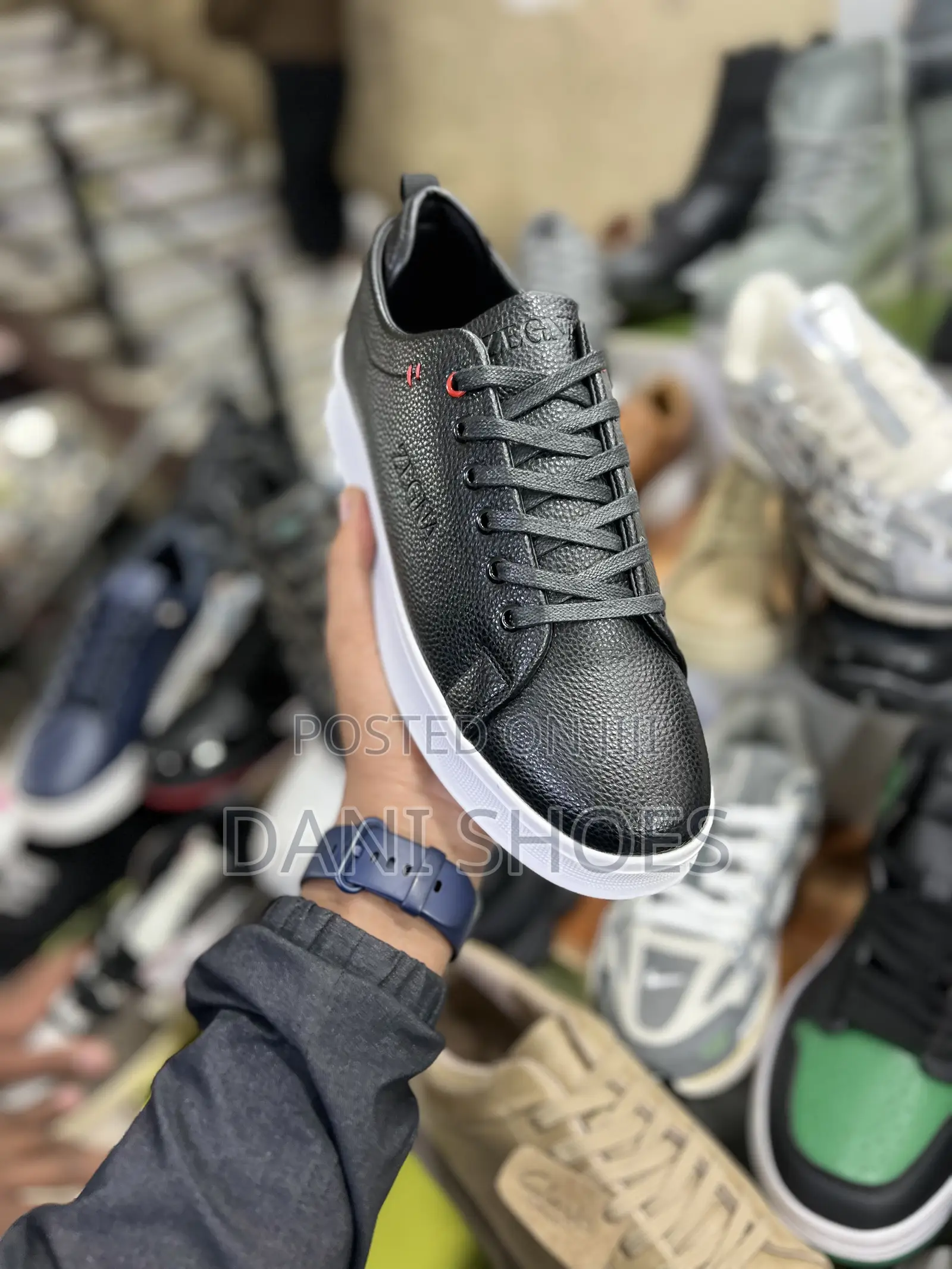 Zegna Low Shoes
