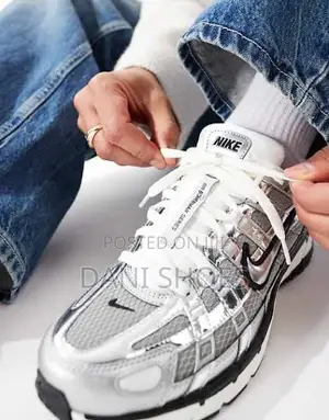 Nike P6000silver