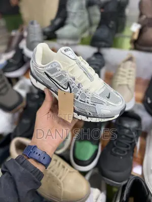 Nike P6000silver