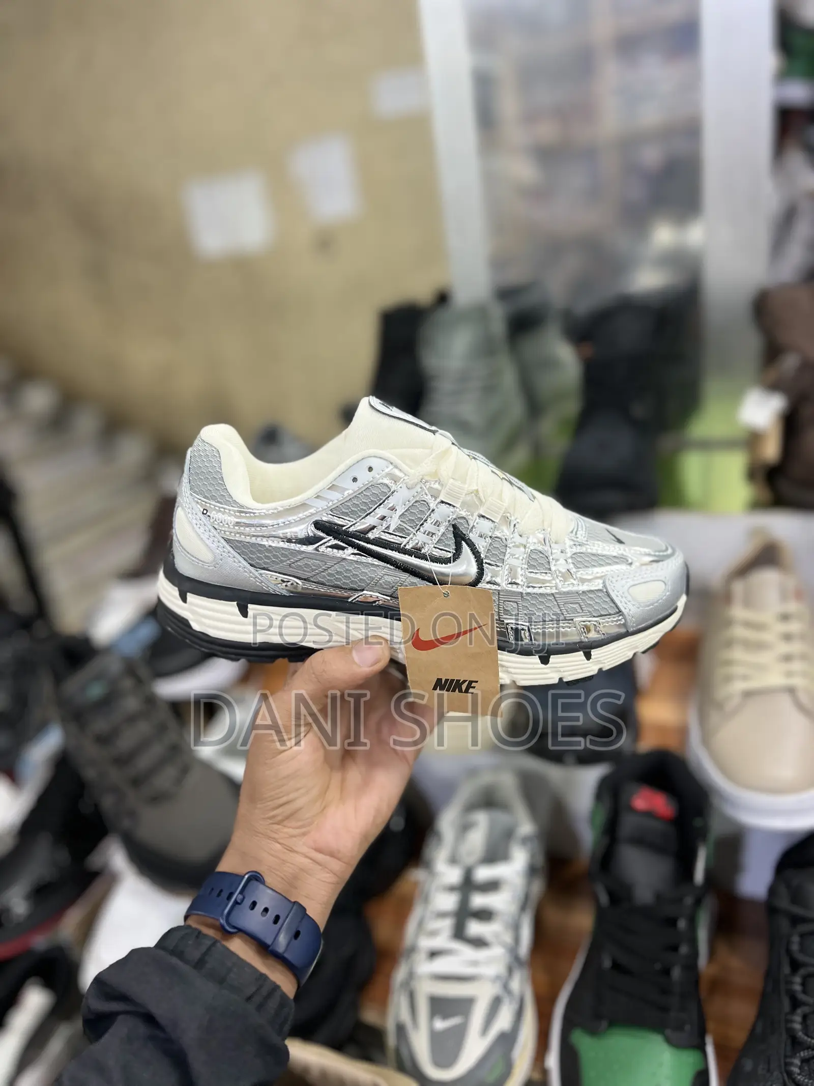 Nike P6000silver