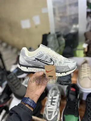 Nike P6000silver