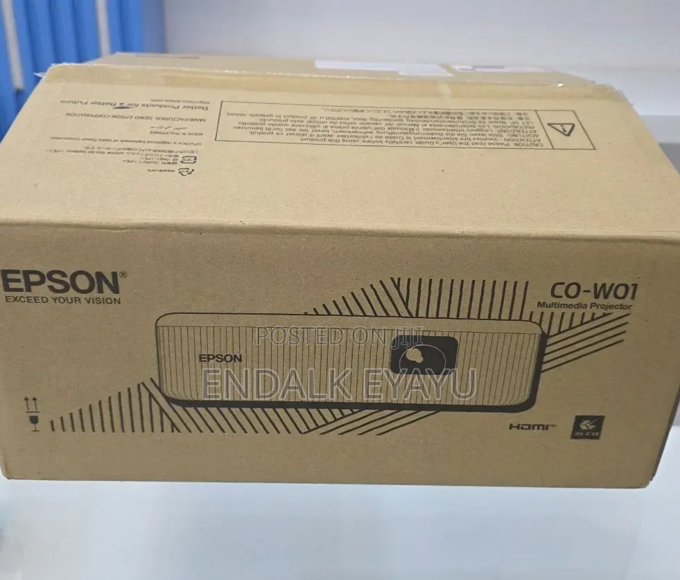 Epson Projector Co- W01