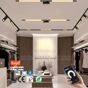Magnetic Track Light