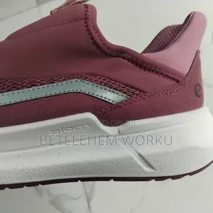 Ecco Biom Shoes