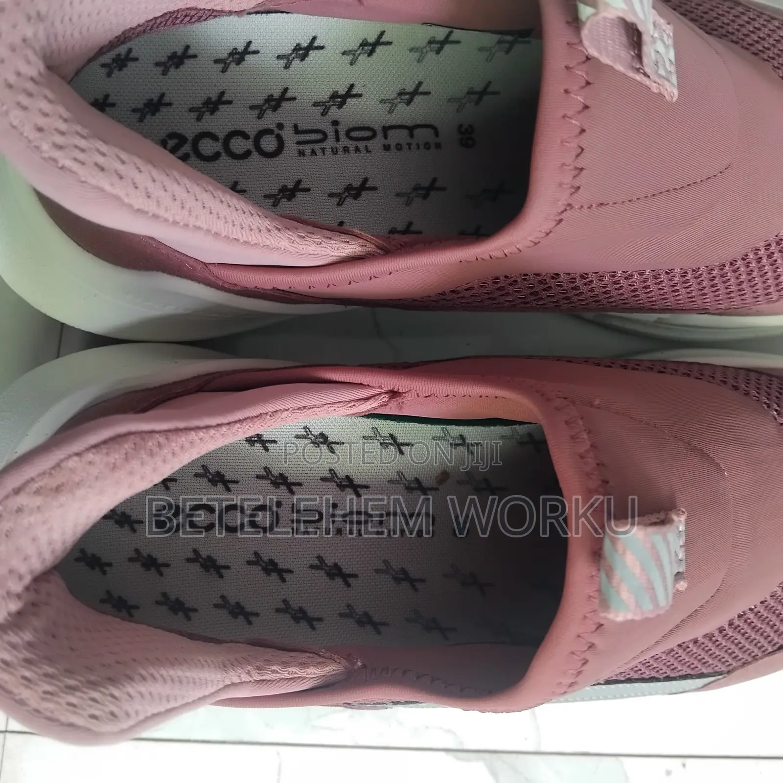 Ecco Biom Shoes