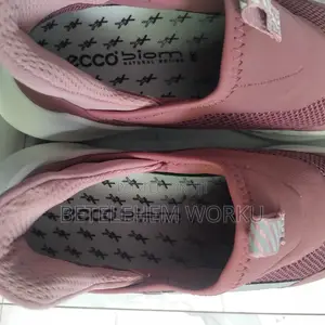 Ecco Biom Shoes
