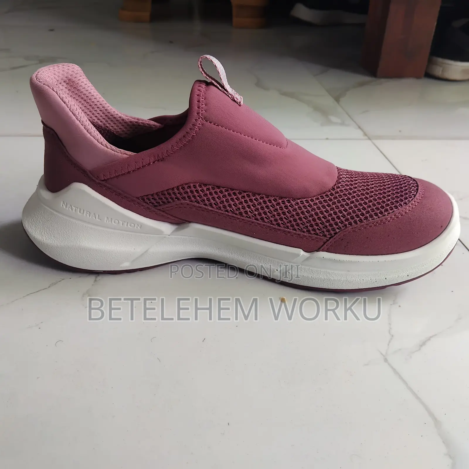 Ecco Biom Shoes
