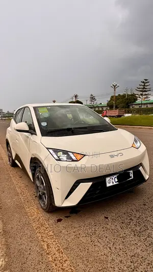 BYD Seagull 2024 White