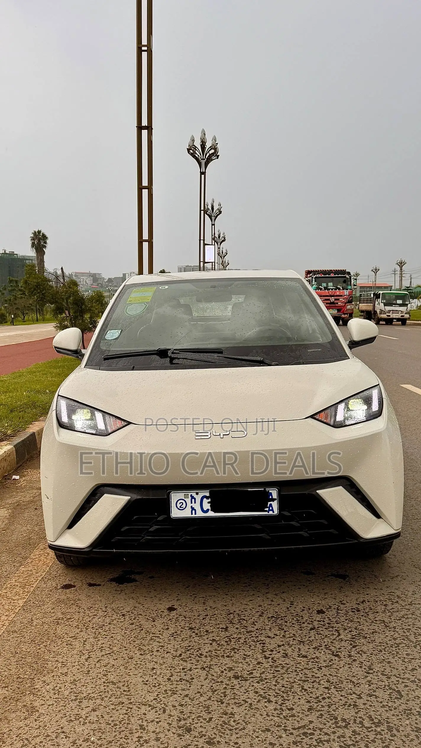 BYD Seagull 2024 White